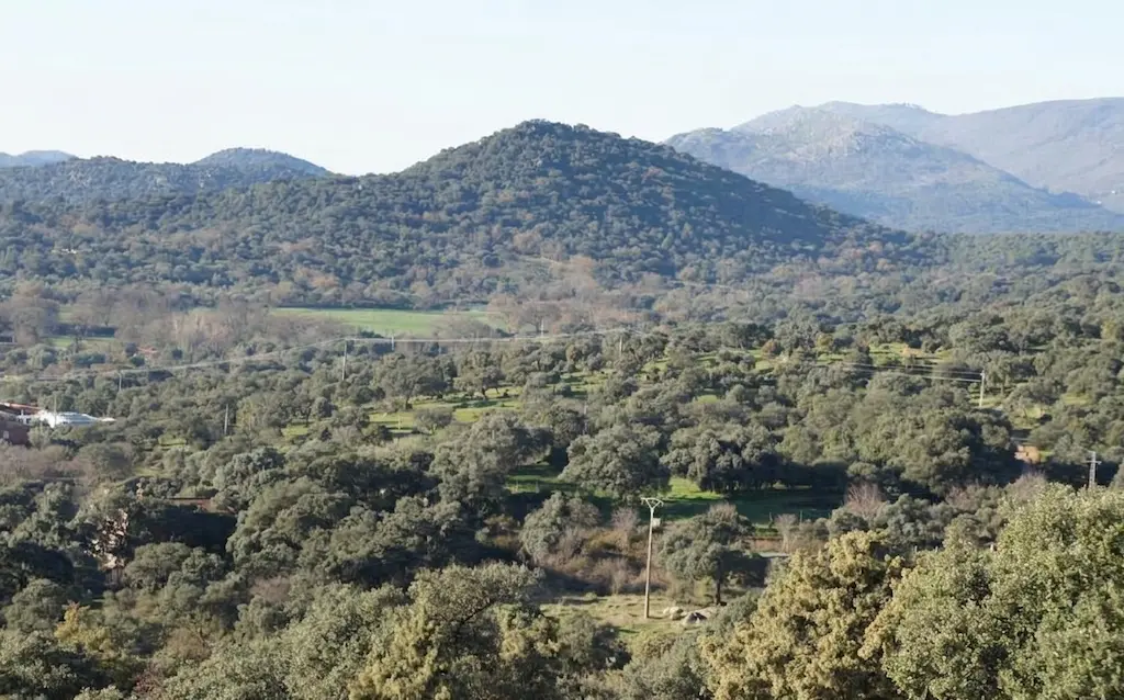 Vista panorámica de la dehesa Pelahustán